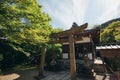 Japanese temple with japanese maple tree leaves in Kyoto vintage film style Royalty Free Stock Photo