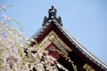 Japanese temple roof against blue sky. Royalty Free Stock Photo