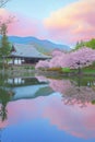 A Japanese temple surrounded by cherry blossoms at sunrise with a reflective spring scene Royalty Free Stock Photo