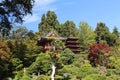 Japanese temples in the forest Royalty Free Stock Photo