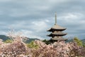 Japanese temples Royalty Free Stock Photo