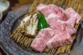 Japanese teppanyaki saga beef (steak). Royalty Free Stock Photo