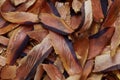 Japanese thick shavings of Katsuobushi (dried bonito) Royalty Free Stock Photo