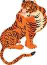 Japanese Tiger