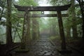 Japanese torii Shinto shrine gate in the forest, Nikko, Japan