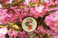 Japanese toy drum with a funny pattern on the background of a blossoming sakura tree, cherry