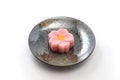 A Japanese traditional confectionery cake wagashi on plate on white background Royalty Free Stock Photo