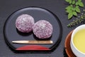 Japanese confectionery, red bean jelly Yokan