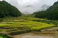 Japanese traditional countryside landscape of terrace rice paddy