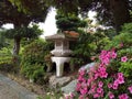 Japanese traditional garden flowers trees Royalty Free Stock Photo