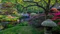Japanese traditional garden with pond and bright flowers Royalty Free Stock Photo