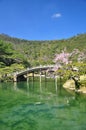 Japanese traditional garden, wooden bridge. Royalty Free Stock Photo