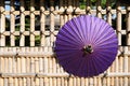 Japanese traditional purple umbrella