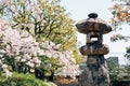 Japanese traditional stone lamp with cherry blossoms at Toji temple in Kyoto, Japan Royalty Free Stock Photo