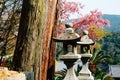 Japanese traditional stone lantern with spring flowers at Hasedera temple in Nara, japan Royalty Free Stock Photo