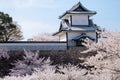 Japanese traditional stone wall with Sakura trees full bloom soft pink infront,  against soft blue sky background, white Kanazawa Royalty Free Stock Photo