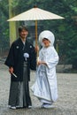 Japanese Traditional wedding Ceremony