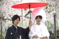 Japanese traditional wedding costum