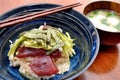Japanese Tuna Donburi Meal Royalty Free Stock Photo
