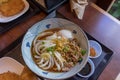 Japanese udon noodles with meat
