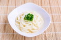 Japanese udon noodles, white bowl