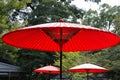 Japanese umbrella Royalty Free Stock Photo