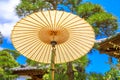 Japanese umbrella background Royalty Free Stock Photo
