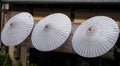 Japanese umbrellas Royalty Free Stock Photo