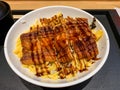 Japanese unagi don - Grilled eel with egg over rice bowl