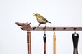 Bird and Chinese brush holder