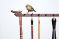 Bird and Chinese brush holder