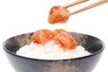 Japanese white rice and karashi mentaiko Royalty Free Stock Photo