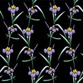 Japanese Wild Flower Branch Vector Seamless Pattern