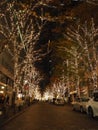 Japanese Winter Illuminations Royalty Free Stock Photo