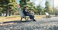 Japanese woman, bench and smartphone in park with relax, happiness and social media in sunshine in city. Female person