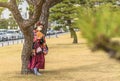 Woman in kimono wearing a mask reading a Tokyo guide book leaned against a pine tree.