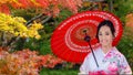 Japanese Woman in A Japanese Garden in Autumn Royalty Free Stock Photo