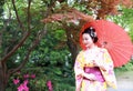 Traditional Asian Japanese beautiful Geisha woman wears kimono hold a umbrella on hand in a summer nature