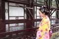 Traditional Asian Japanese woman bride Geisha wearing kimono play in a graden Royalty Free Stock Photo