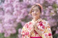 Japanese woman in traditional kimono dress is making a new year wish for good fortune while walking in the park at cherry blossom Royalty Free Stock Photo