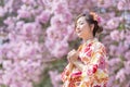 Japanese woman in traditional kimono dress is making a new year wish for good fortune while walking in the park at cherry blossom Royalty Free Stock Photo