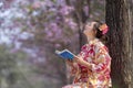 Japanese woman in traditional kimono dress sitting under cherry blossom tree while reading a book during spring sakura festival Royalty Free Stock Photo