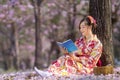 Japanese woman in traditional kimono dress sitting under cherry blossom tree while reading a book during spring sakura festival Royalty Free Stock Photo