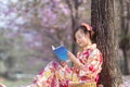 Japanese woman in traditional kimono dress sitting under cherry blossom tree while reading a book during spring sakura festival Royalty Free Stock Photo