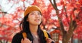 Japanese, woman and travel with autumn nature, trees and red leaves in Kyoto forest with happiness. Girl, smile and walk Royalty Free Stock Photo