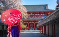 .Japanese women dressed in kimonos look at temples. Sensoji during cherry blossoms Asakusa City, Tokyo, Japan