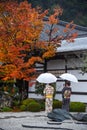 Japanese women in enkoji temple, Kyoto, Japan Royalty Free Stock Photo