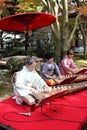 Japanese women playing the traditional instrument Royalty Free Stock Photo