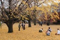 Japanese women playing with yellow Ginkgo leaves