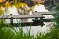 Japanese wooden bridge over pond Royalty Free Stock Photo